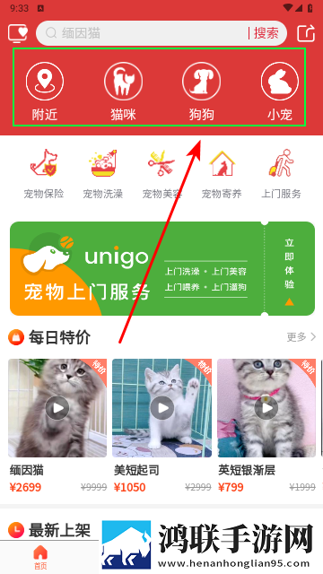 宠物市场2025最新版