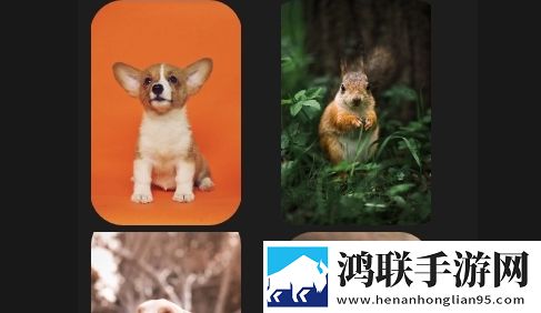 壁纸世界APP无广告免费版