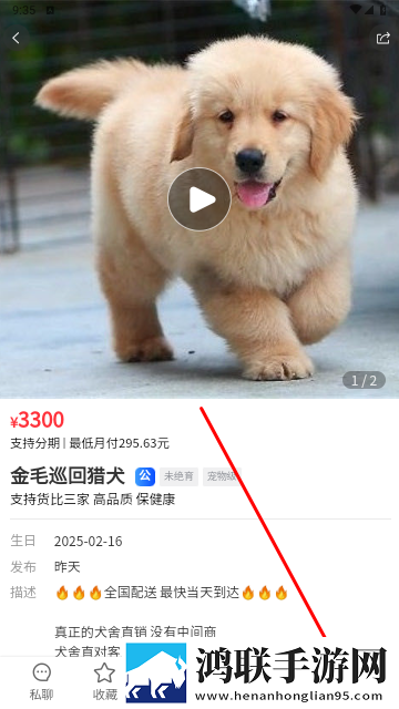 宠物市场2025最新版