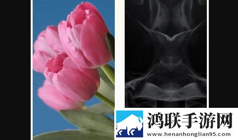 超高清换壁纸APP无广告免费版