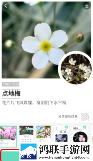 形色app2025最新版
