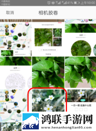 形色app2025最新版