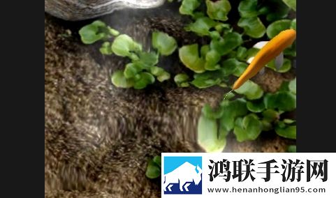 锦鲤动态壁纸手机版