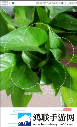 形色app2025最新版