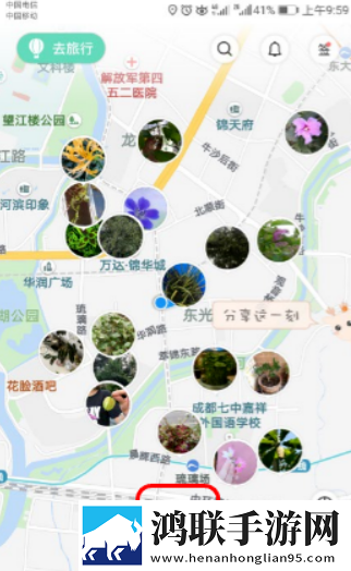 形色app2025最新版