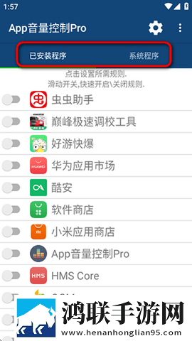 App Volume Control Pro无广告版