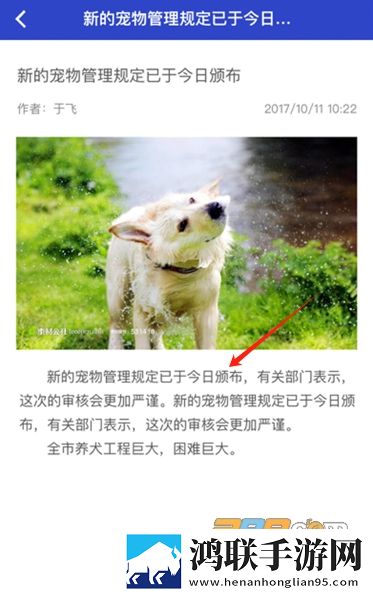 麻花传剧创mv免费观看预约版下载,麻花传剧创m