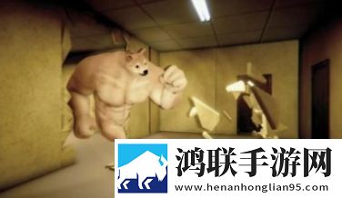 欧洲码和亚洲码的尺码区别emo了版下载,欧洲码和亚洲码的尺码区别低耗版省电挑战下载