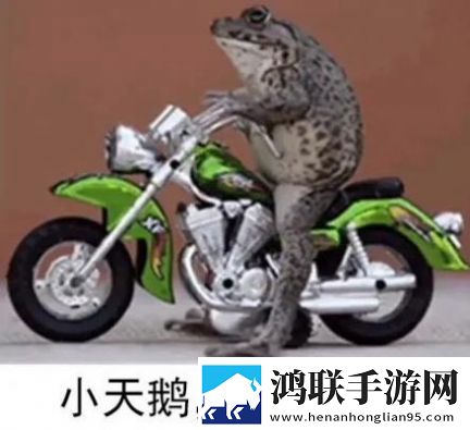 近亲相祖母六十老太太才艺版下载,近亲相祖母六十老太太蓝光收藏版下载