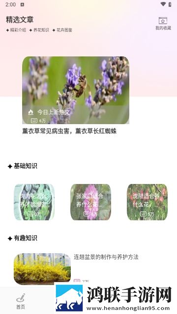 花社区APP安卓免费版