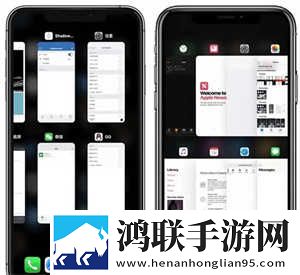 欧式72种扦插法的注意事项免费版下载,欧式72种扦插法的注意事项情侣版双人桌面下载