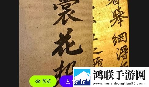 波波取图APP无广告纯净版