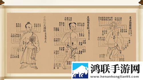 中医经络穴位图谱最新免费版