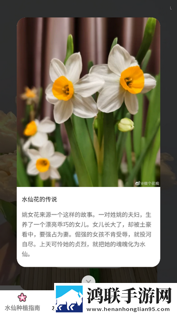 馨香时光官方最新版