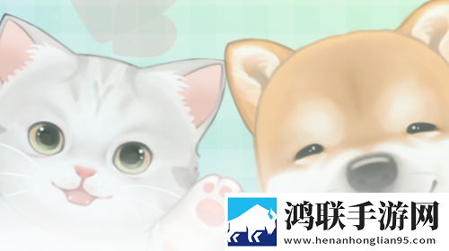 潮宠2025最新版