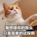 麻豆视频下载治愈版