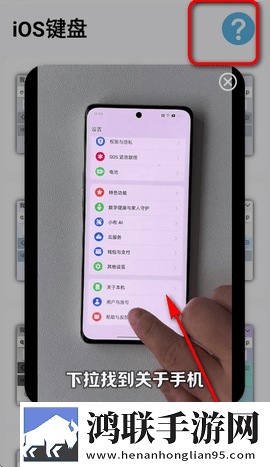 主题猫2025最新版
