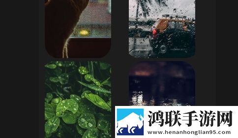 图片大全照片保险APP高清版