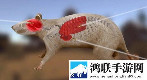 小马拉大车来自妈**爱模拟版下载,小马拉大车来自妈**爱爽战版挑战极限连招下载