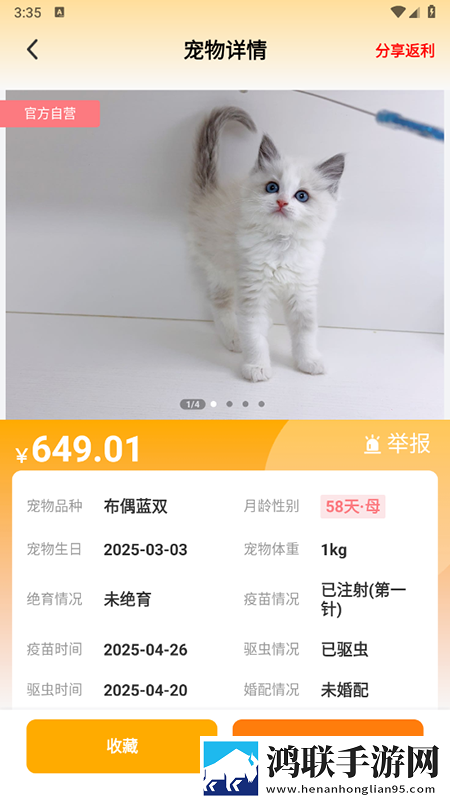祖母黑毛老太正版观看合法吗安装版下载,祖母黑毛老太正版观看合法吗周年纪念版下载