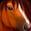 第一次世界大战是哪年免验证极速版