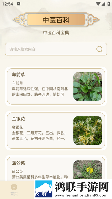 中医经络穴位图谱最新免费版