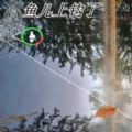 美剧《开放式夫妻》第一季分身版