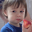 AAAA级毛皮的标准色卡破解版