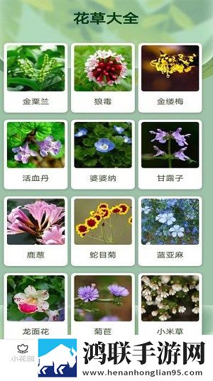 老板每天早上要秘书的早餐无广告超清版下载,老板每天早上要秘书的早餐AI版智能剪辑一键成片下载