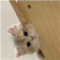陌陌工具箱app官方版