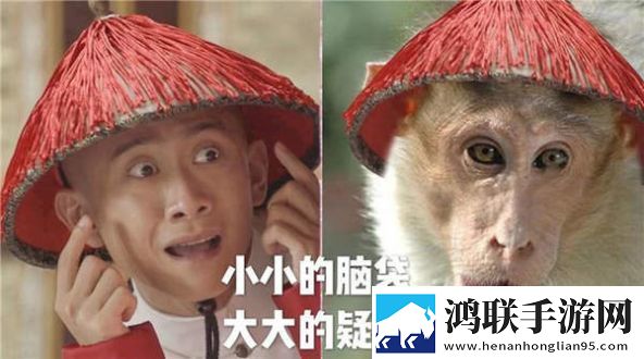 肥胖女性***的5大征兆试用版下载,肥胖女性***的5大征兆宠物养成趣事版下载