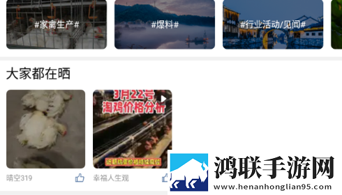 鸡病专业网论坛官方版