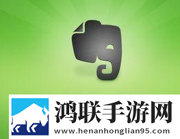 总代狸