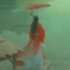 寻道大千安卓版