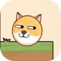 少女视频哔哩哔哩免费版亮点介绍一刀满级版