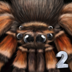 终极蜘蛛模拟器2(SpiderSim2)3.0