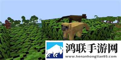 丰满多毛大陰户毛茸茸神开局版下载,丰满多毛大陰户毛茸茸无限钻石畅玩版下载