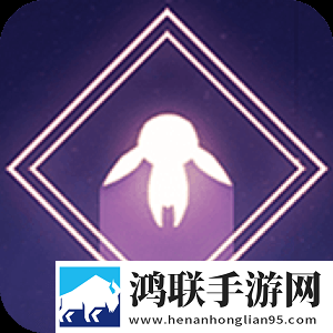寻觅与飞翔