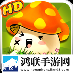 亚洲码和欧洲m码的区别我社恐我专属版