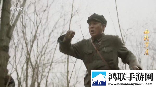 国产香蕉和进口香蕉怎么区别低耗版下载,国产香蕉和进口香蕉怎么区别多机位版视角下载