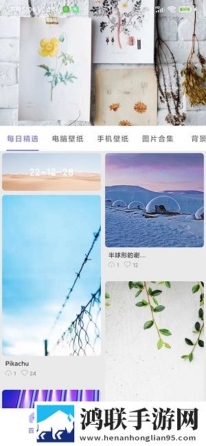 派派壁纸