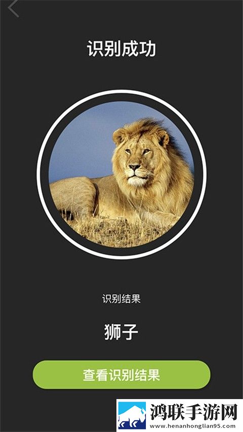 Volnau软件