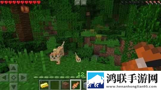 我的世界1.18安卓版下载-我的世界1.18免会员版获取