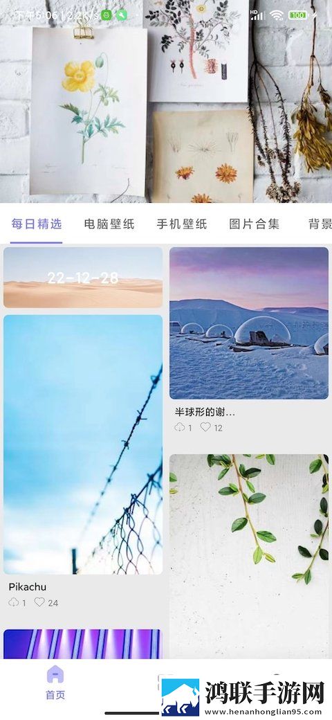派派壁纸安卓版