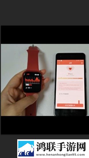 WakaWatch软件
