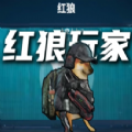 歪歪直播闺蜜联机版