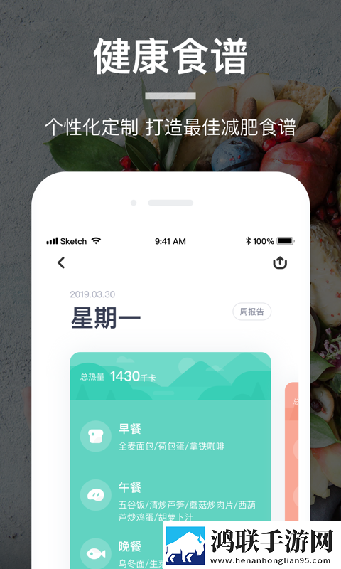薄荷营养师安卓版下载-薄荷营养师app破解版获取
