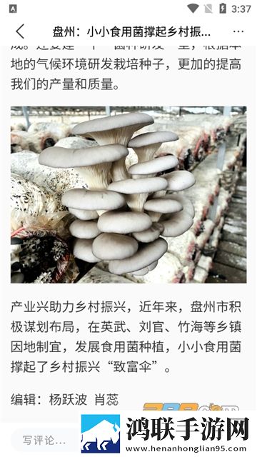 金彩盘州app安卓版下载-金彩盘州app免会员版免费下载2022最新v2.0.12