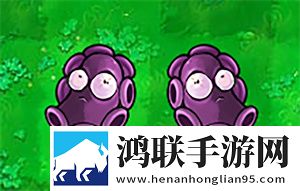 尼姑三姐妹2免费播放电视剧登录送SSR版下载,尼姑三姐妹2免费播放电视剧免登录游客体验版下载