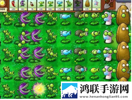 真人视频直播APP免费观看5G极速版下载,真人视频直播APP免费观看策略烧脑布阵版下载